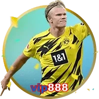 vip888