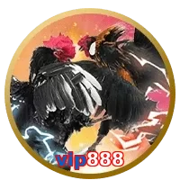 vip888
