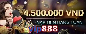 vip888