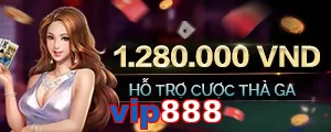 vip888